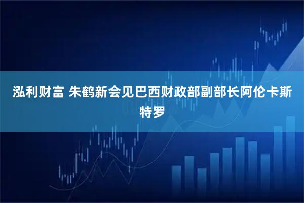 泓利财富 朱鹤新会见巴西财政部副部长阿伦卡斯特罗