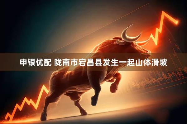 申银优配 陇南市宕昌县发生一起山体滑坡