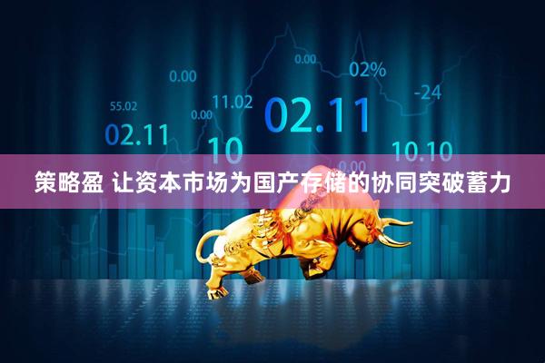 策略盈 让资本市场为国产存储的协同突破蓄力