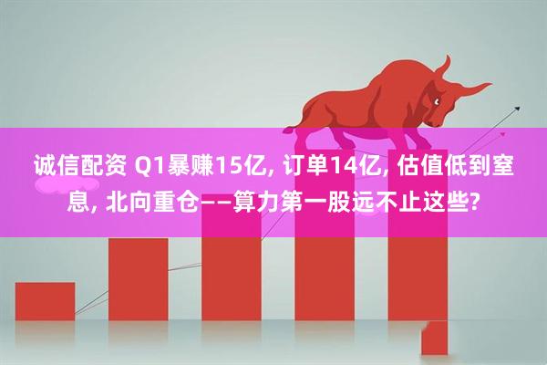 诚信配资 Q1暴赚15亿, 订单14亿, 估值低到窒息, 北向重仓——算力第一股远不止这些?